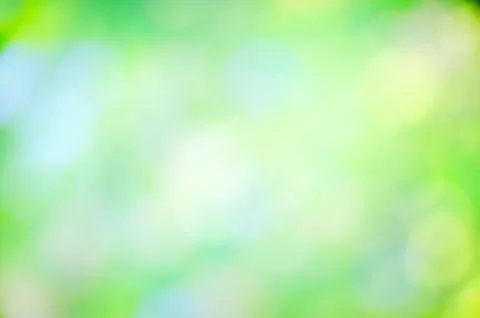 Blurry green trees background Stock Photos