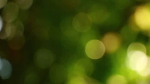 Blurry greenish background Stock Footage 108138834