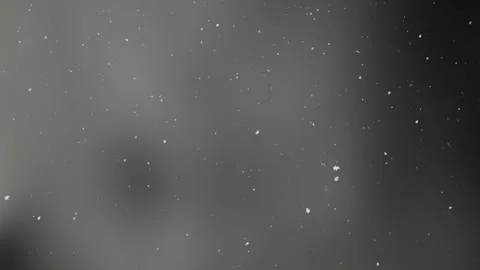 Blurry grey background with white snowflakes. Stock Footage 308906216