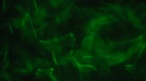 Blurry image of Abstract green light and black background.No people Stock Illustration