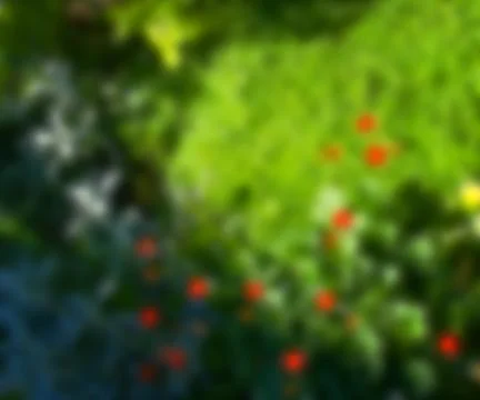 Blurry image background Stock Illustration