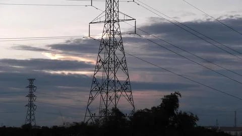 Blurry image of bird on an electricity pole in the evening. Stock Photos