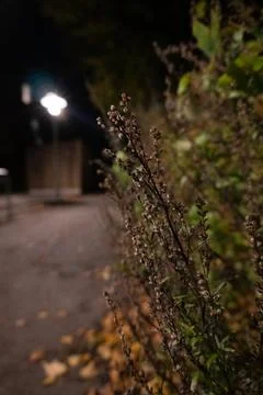 A blurry image of a path with a light on the left side Stock Photos