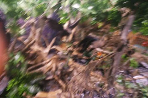 Blurry image Foto stock
