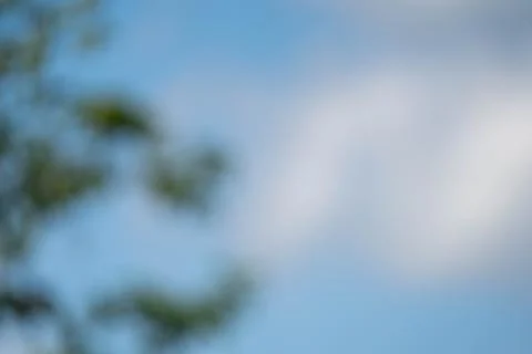 A blurry image of a tree with a blue sky in the background Stock Photos
