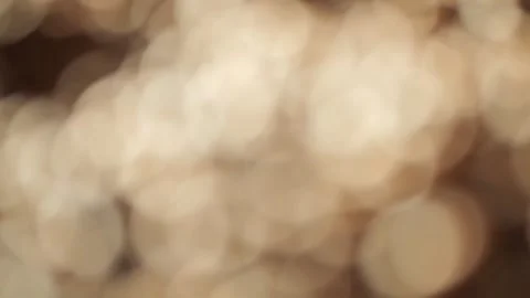 Blurry image of a tree with many circles Stock Footage 299547357