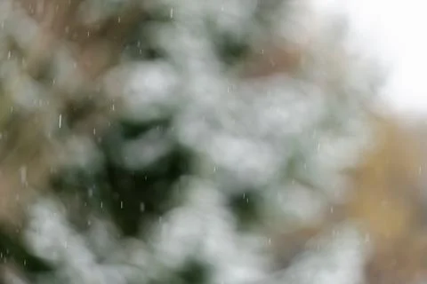 A blurry image of a tree with snow falling on it Stock Photos