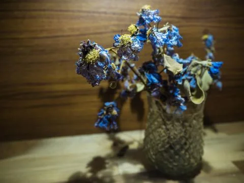The blurry light design background of dried flower in glass,put on wooden tim Foto stock