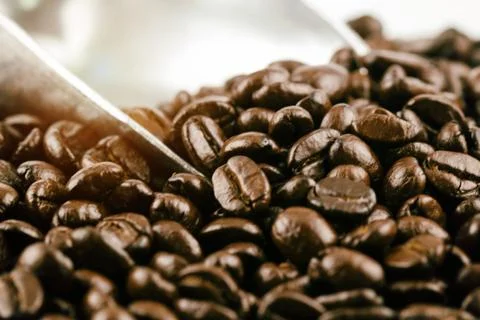 The blurry light design background of roasted coffee beans,vintage and art to 库存照片