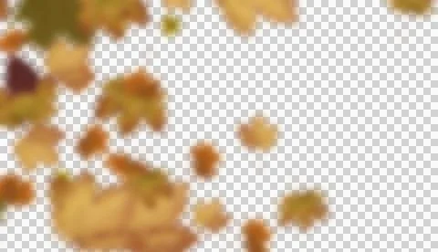 Blurry maple leaves 库存插图