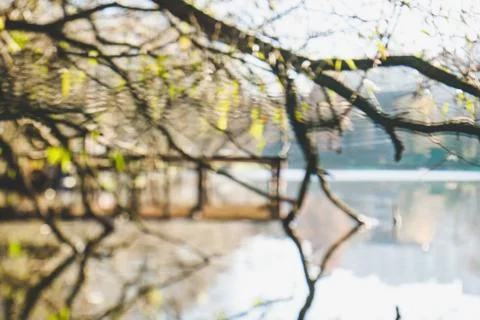 Blurry nature background Stock Photos