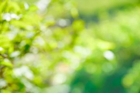 Blurry nature Foto stock