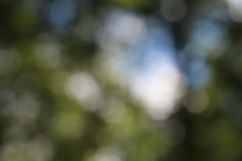 Blurry nature Stock Photos