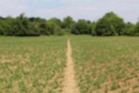 Blurry path background image Stock Photos