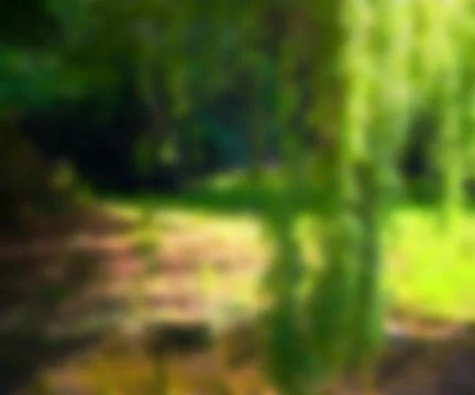 Blurry photo backdrop 스톡 일러스트