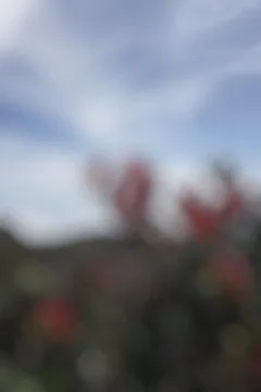 Blurry photo to background Stock Photos