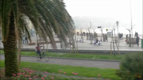 A blurry photo of a tree Stock Footage 156020050