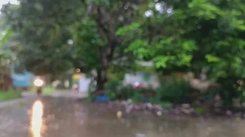 Blurry Rain Season Stock Footage 241051546