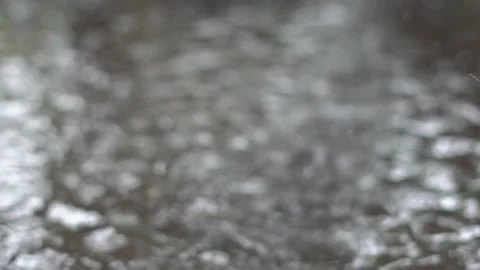 Blurry Raindrop Stock Footage 225240968