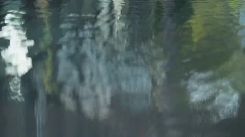 Blurry reflection of trees and rocks in calm water surface on a sunny day Video stock 328041275