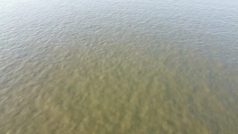 The blurry river Stock Footage 255940939