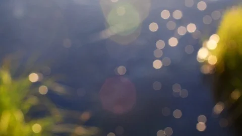 Blurry river with grass while sun sets Stock Footage 128204984