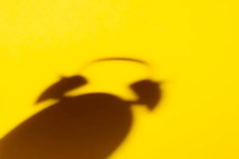 The blurry shadow of the alarm clock falling from the morning light on the ye Stock Photos