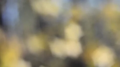 Blurry shimmering abstraction Stock-Footage 142597732