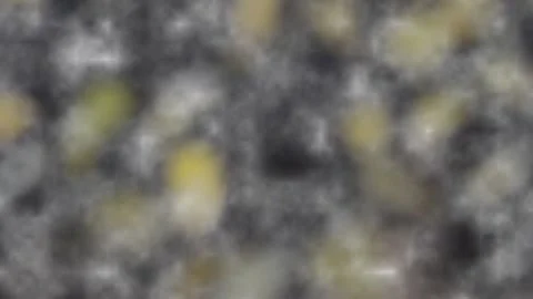 Blurry shimmering abstraction Stock-Footage 142600215
