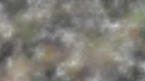 Blurry shimmering abstraction Stock-Footage 142600431