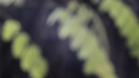 Blurry shimmering abstraction Video stock 142600820