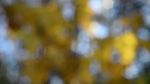 Blurry shimmering abstraction Stock-Footage 142600979