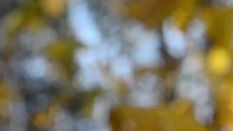 Blurry shimmering abstraction Stock-Footage 142601286