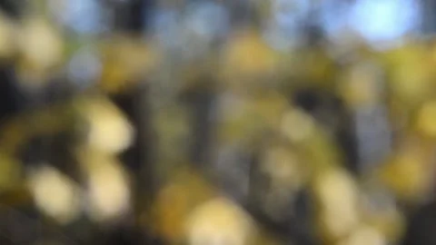 Blurry shimmering abstraction Stock-Footage 142601409