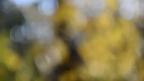 Blurry shimmering abstraction Stock-Footage 142601430