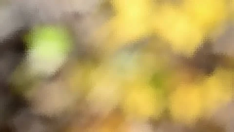 Blurry shimmering abstraction Stock-Footage 142622723