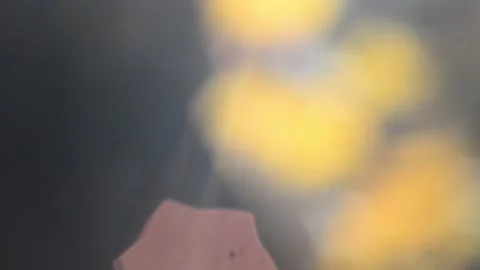 Blurry shimmering abstraction Stock-Footage 142622990