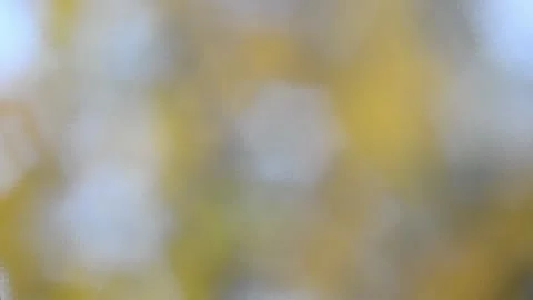 Blurry shimmering abstraction Stock-Footage 142623506