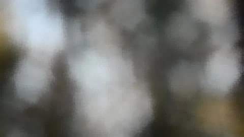 Blurry shimmering abstraction Stock-Footage 142623585