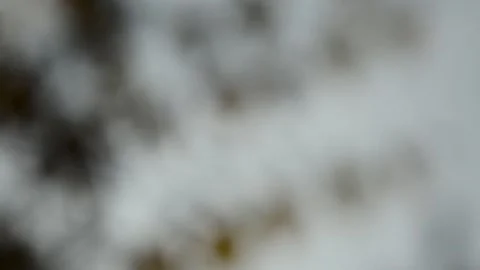 Blurry shimmering abstraction Stock-Footage 142624502