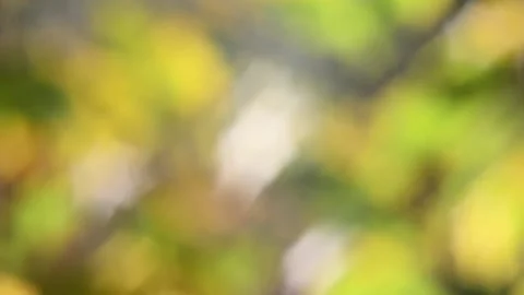 Blurry shimmering abstraction Stock-Footage 142624971