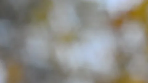 Blurry shimmering abstraction Stock-Footage 142624988