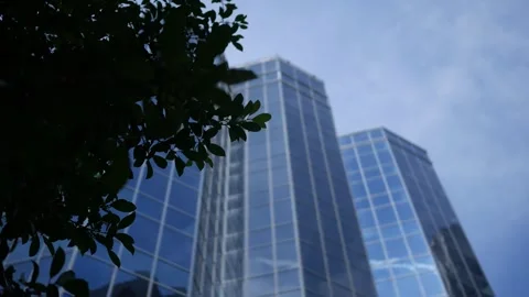 Blurry Skyscraper Establishing Shot with Foreground Tree Stock Footage 314140529