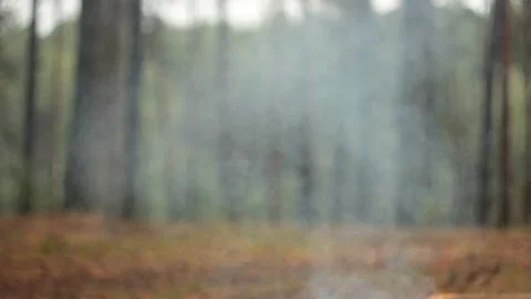 Blurry smoke from the open fire in the forest Видео 133935965