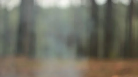 Blurry smoke from the open fire in the forest Stock Footage 133936066