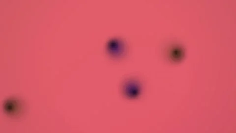 Blurry spots soft pink background with blurry colorful spots a soft with a few b Stock Footage 330529509