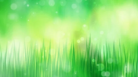 Blurry spring grass with bokeh Stock Footage 106156420