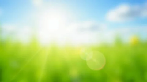 Blurry spring or summer background with green grass, soft sunlight, fresh lea Stock Illustration