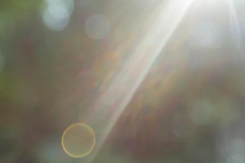 Blurry sunlights Stock Photos