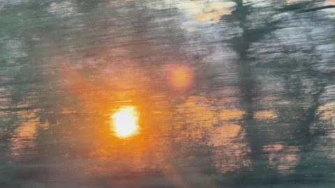 Blurry sunset seen through trees from a moving car window Stock Footage 340237910